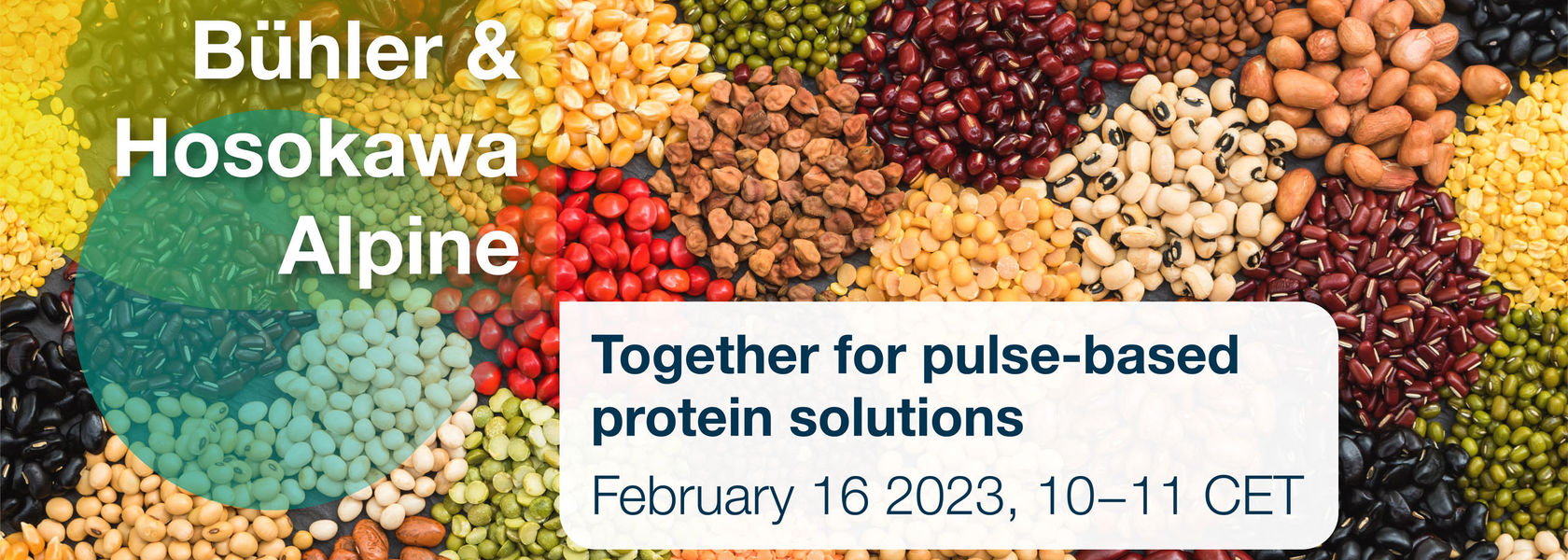 Webinar “together For Pulse Based Protein Solutions Bühler And Hosokawa Alpine”